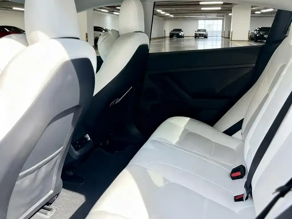 Tesla Model 3 2023 из CN, фото 8