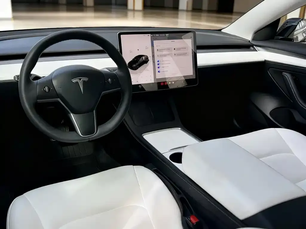 Tesla Model 3 2023 из CN, фото 5