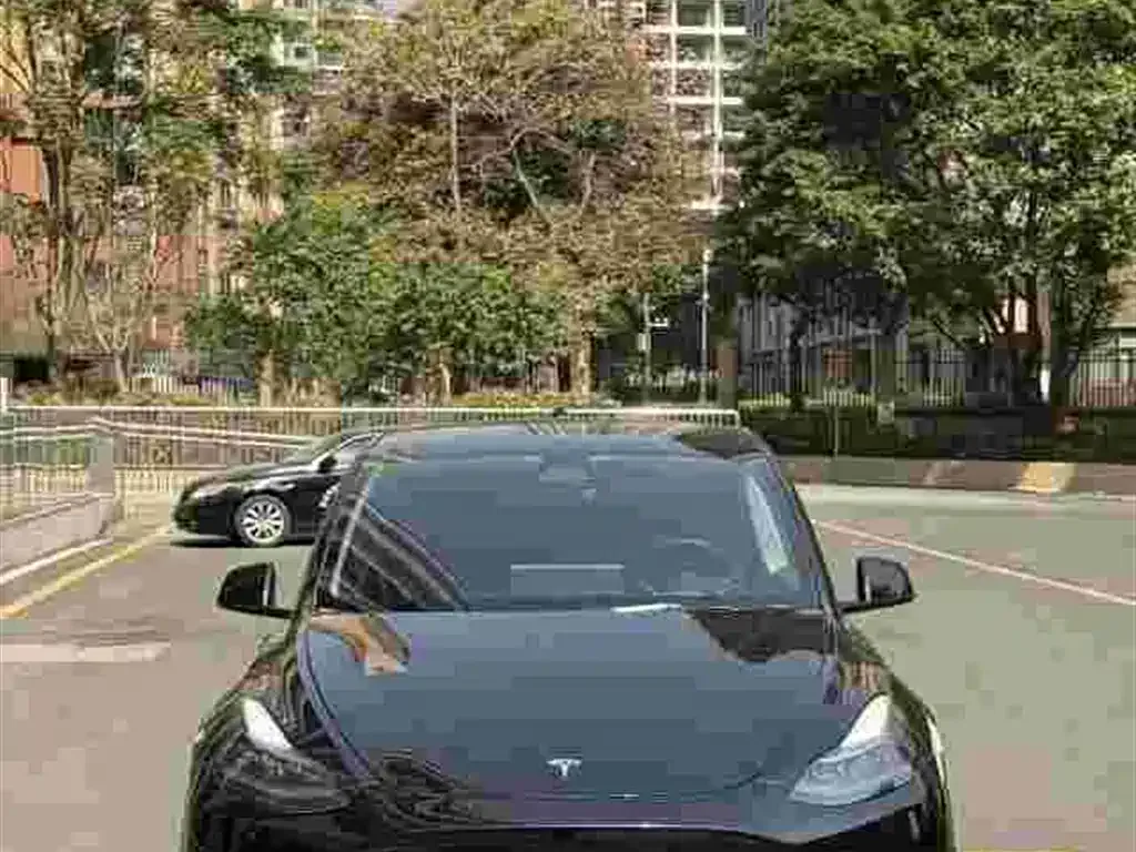 Tesla Model Y 2022 из CN, фото 5