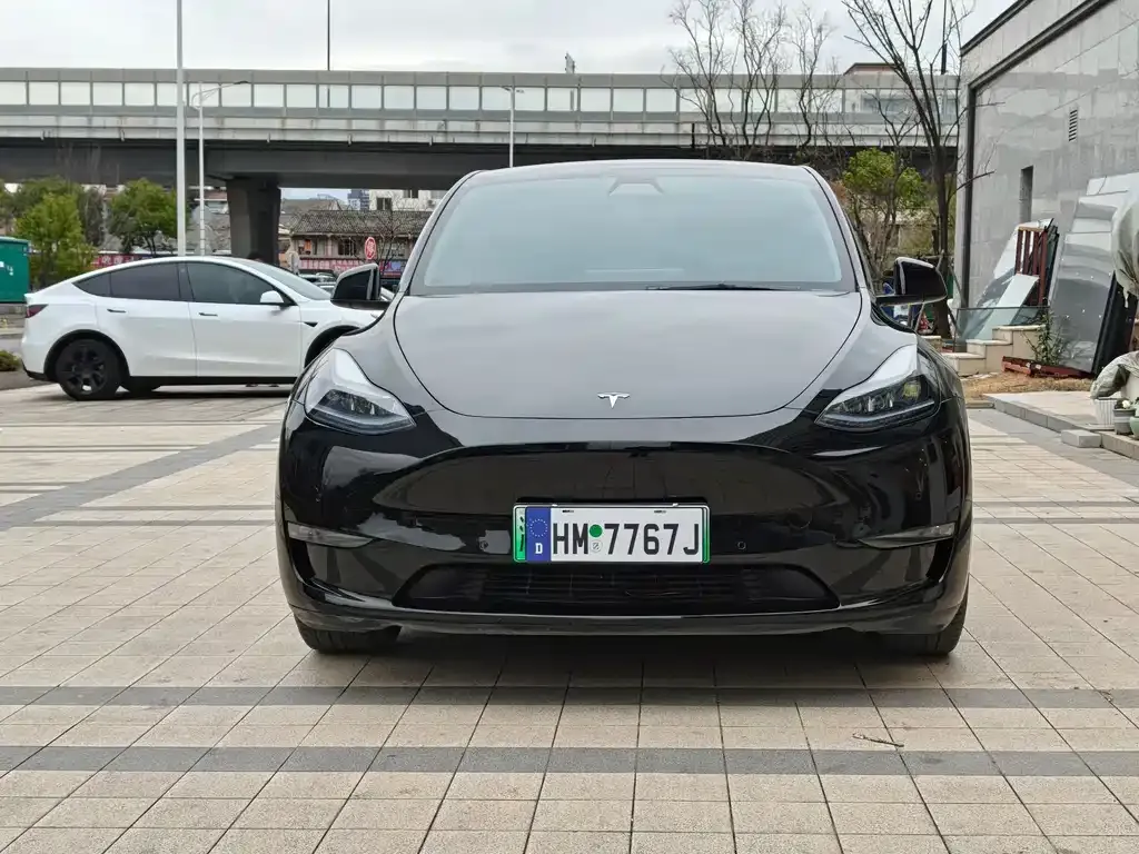 Tesla Model Y 2023 из CN, фото 6