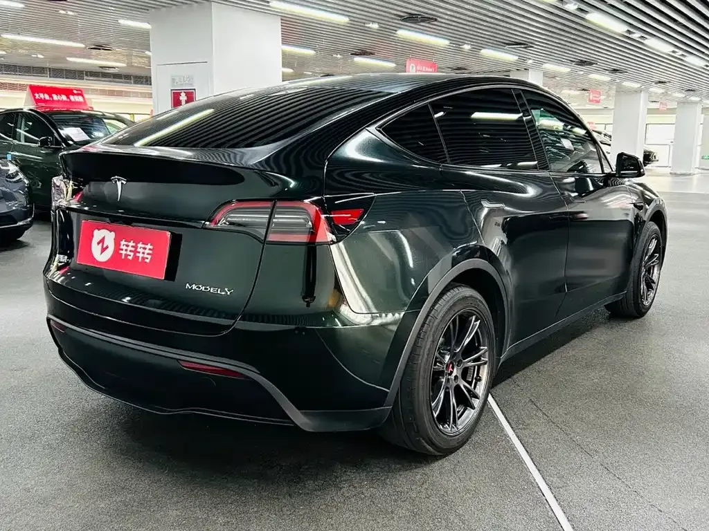 Tesla Model Y — фото 9