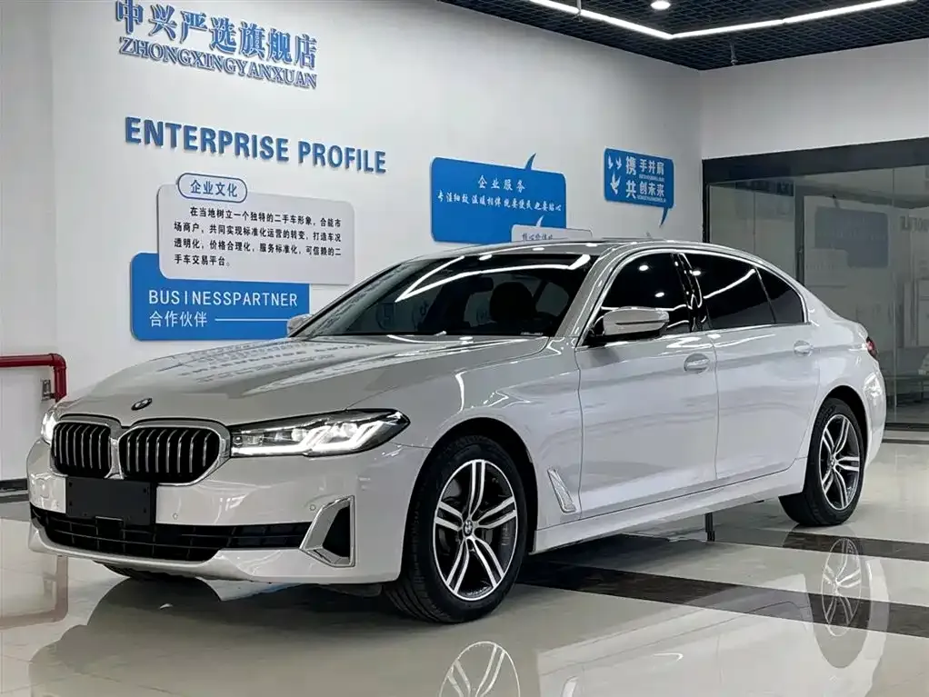 BMW 5 Series 2021 из CN, фото 1