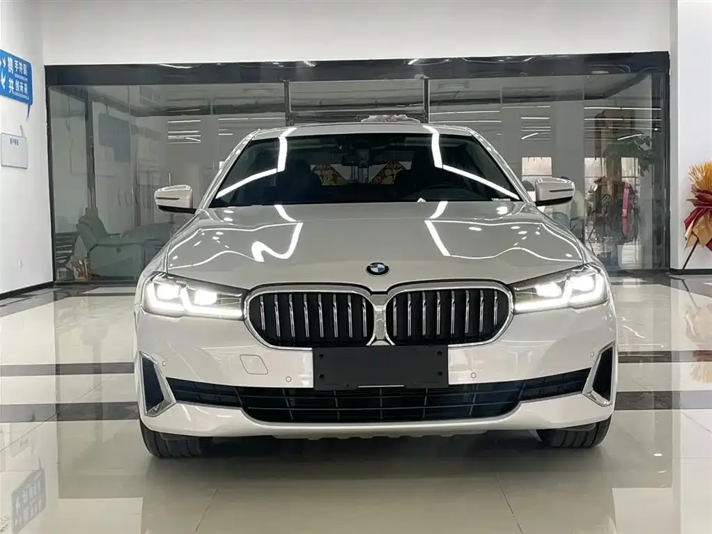 BMW 5 Series 2021 из CN, фото 7