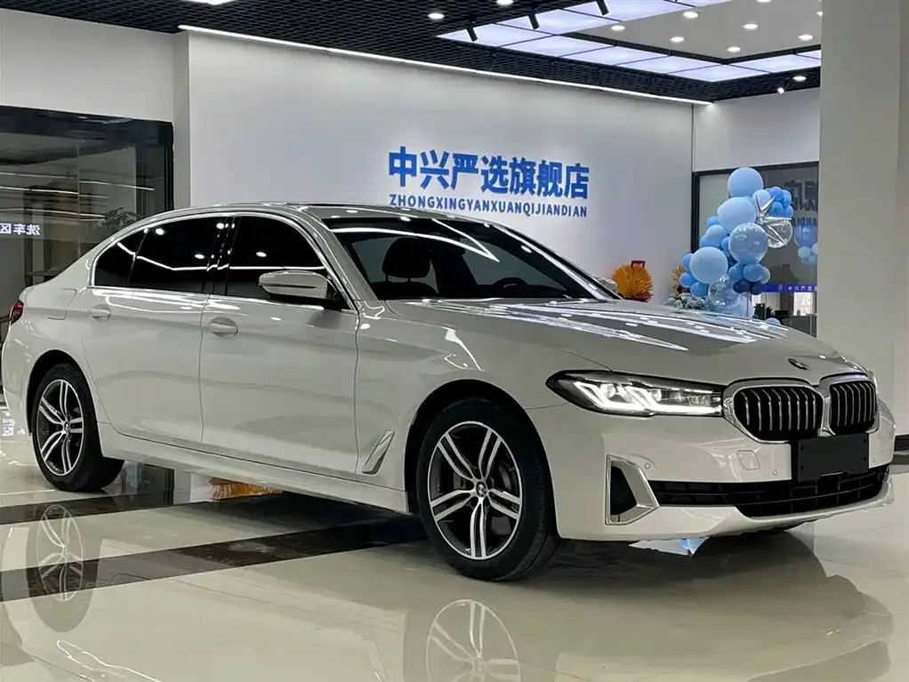 BMW 5 Series 2021 из CN, фото 6