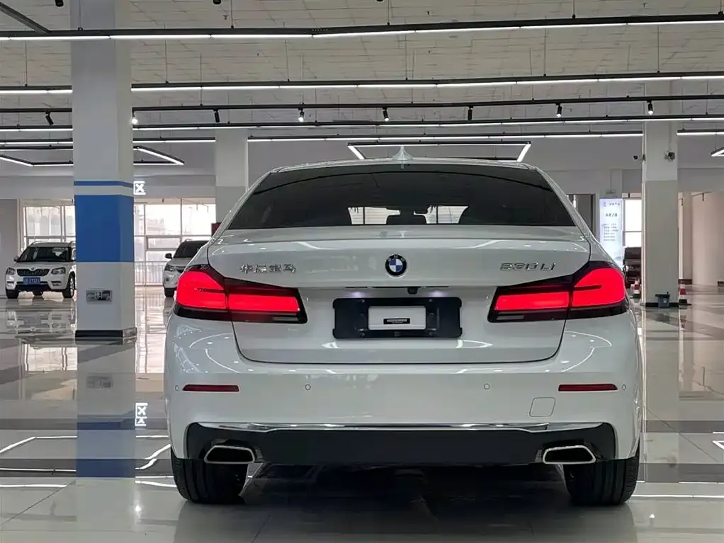 BMW 5 Series 2021 из CN, фото 10