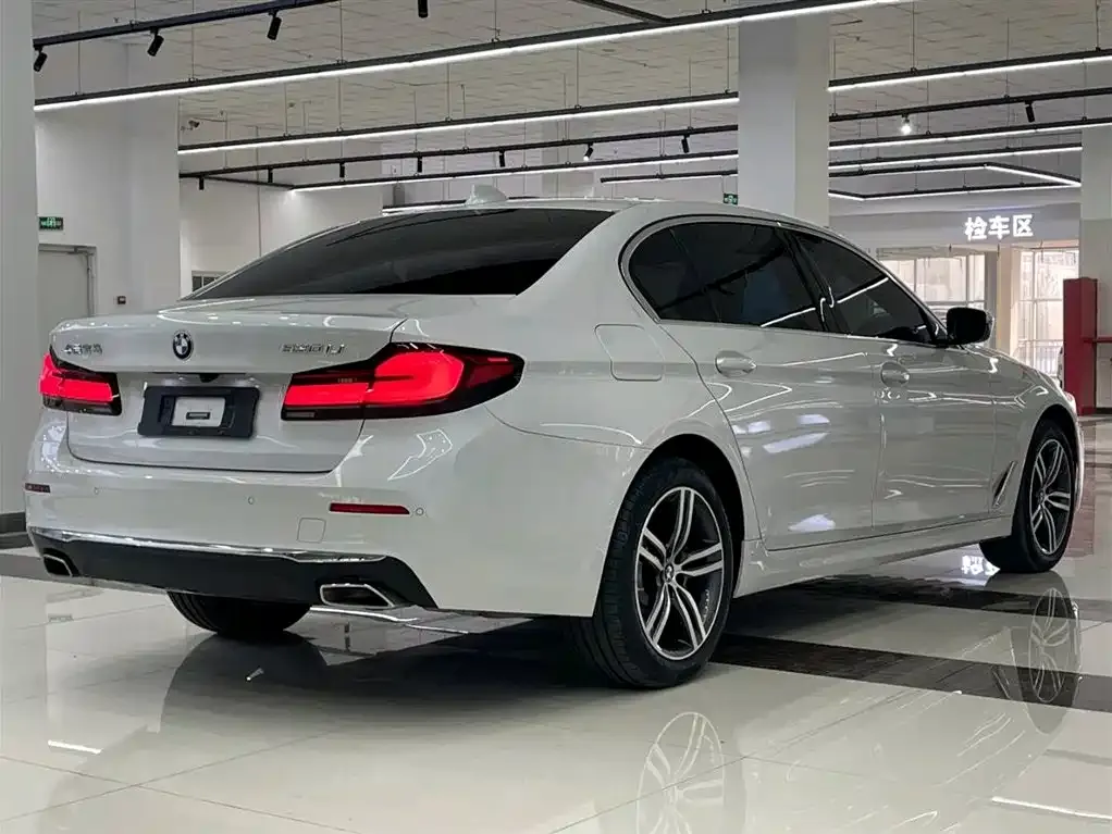BMW 5 Series 2021 из CN, фото 5