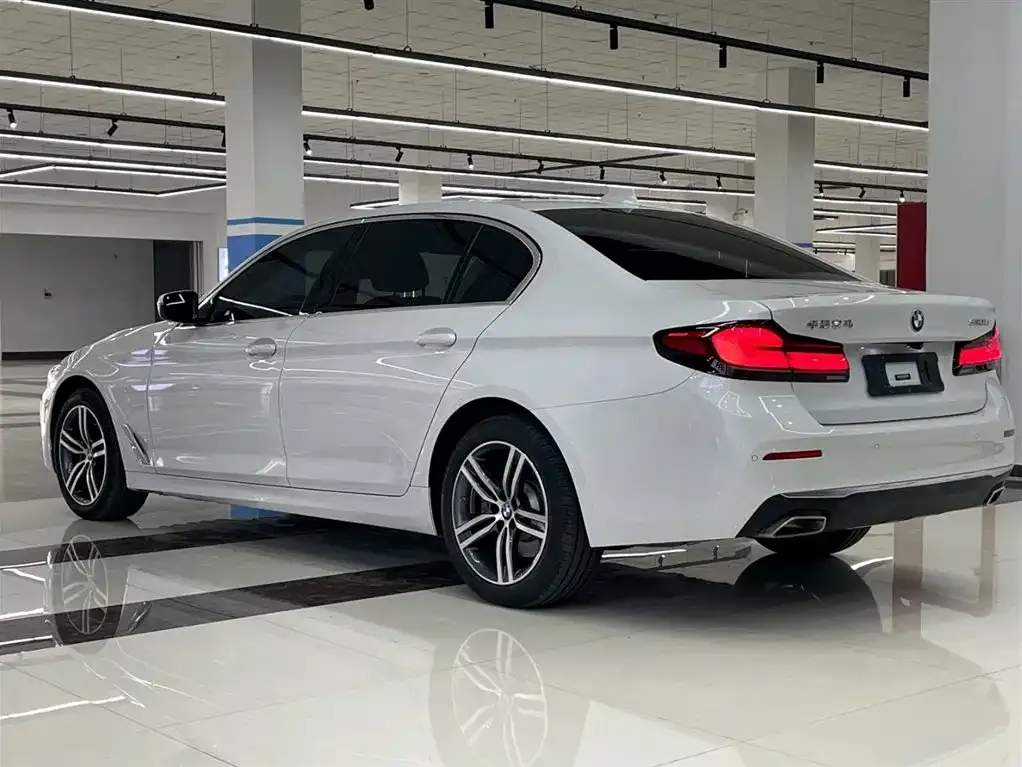 BMW 5 Series 2021 из CN, фото 9