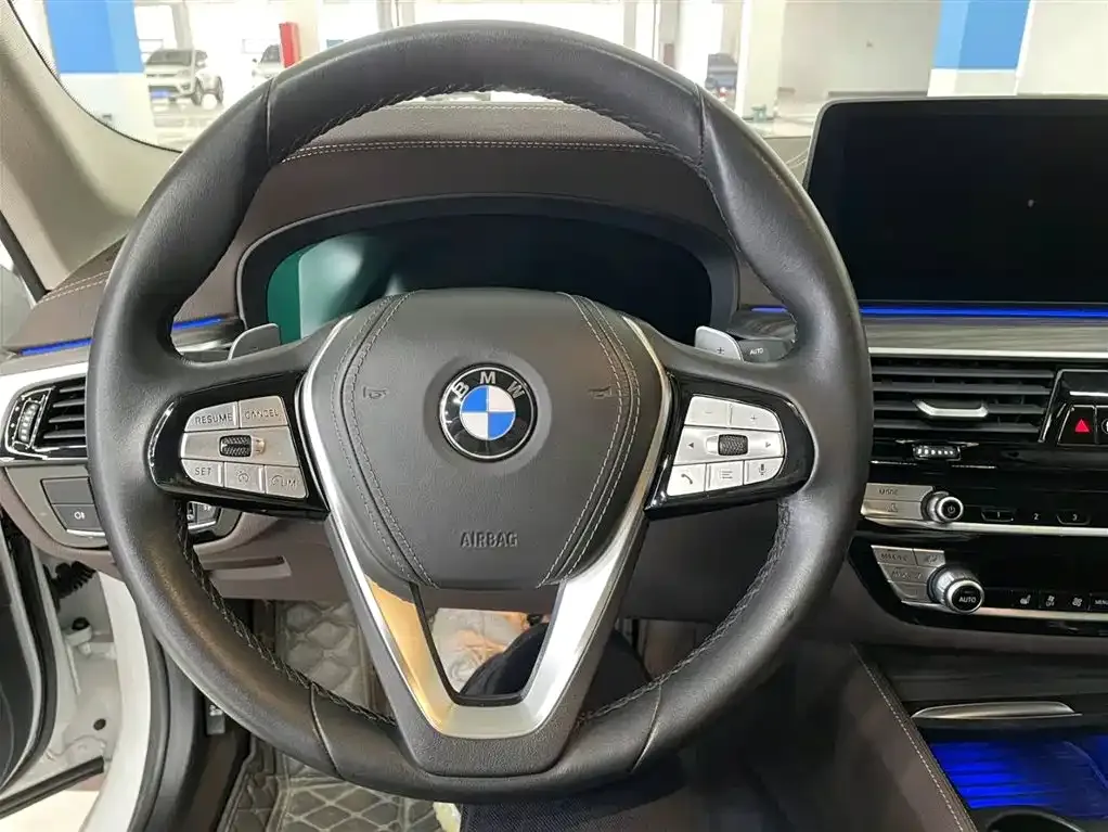 BMW 5 Series 2021 из CN, фото 8