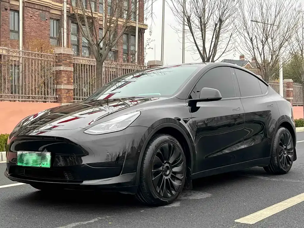 Tesla Model Y — фото 1