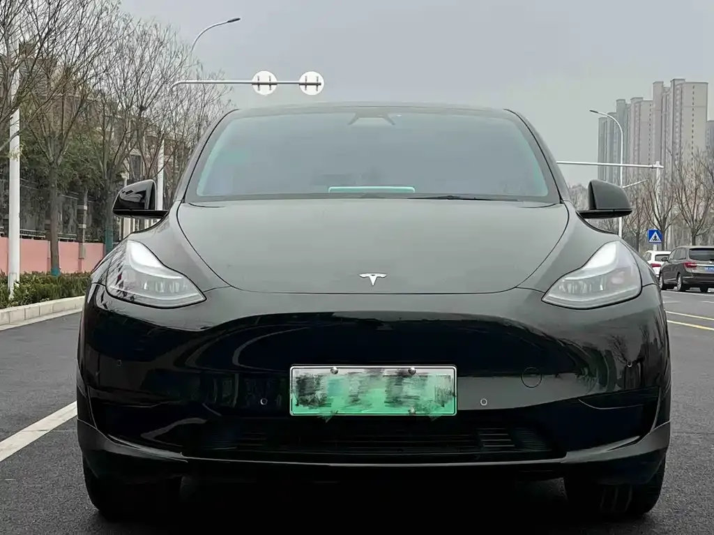 Tesla Model Y — фото 3