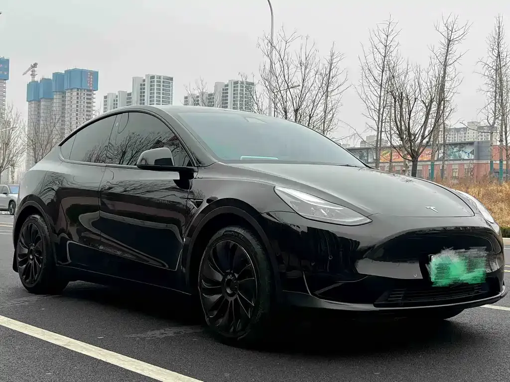 Tesla Model Y — фото 5