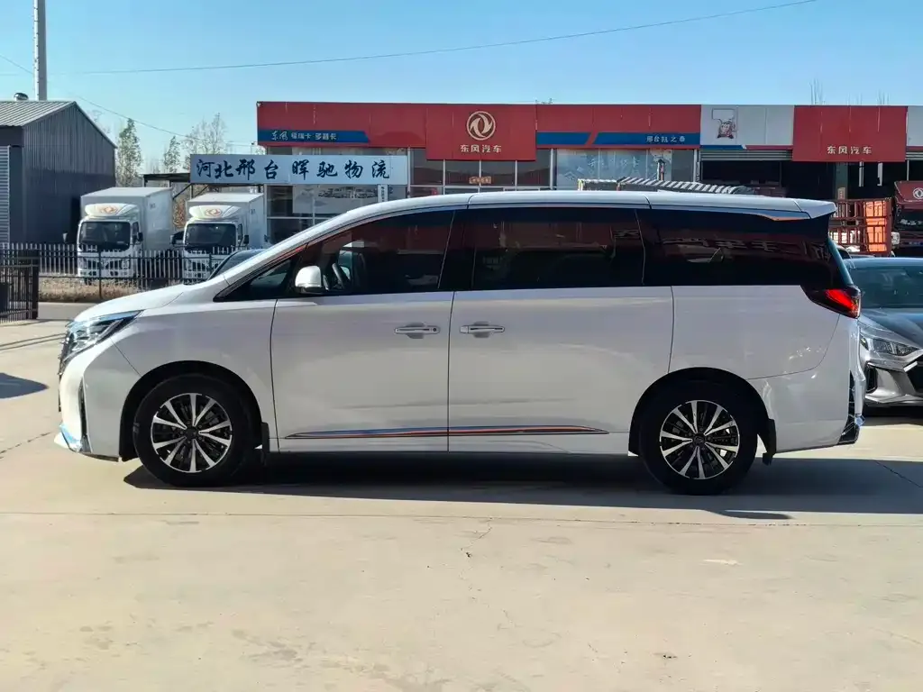 GAC Motor Trumpchi M8 2023 из CN, фото 7