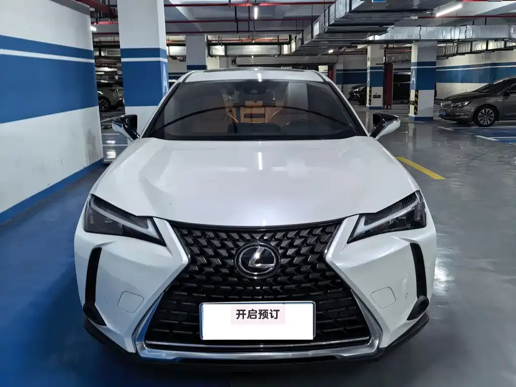 Lexus UX 2023 из CN, фото 1