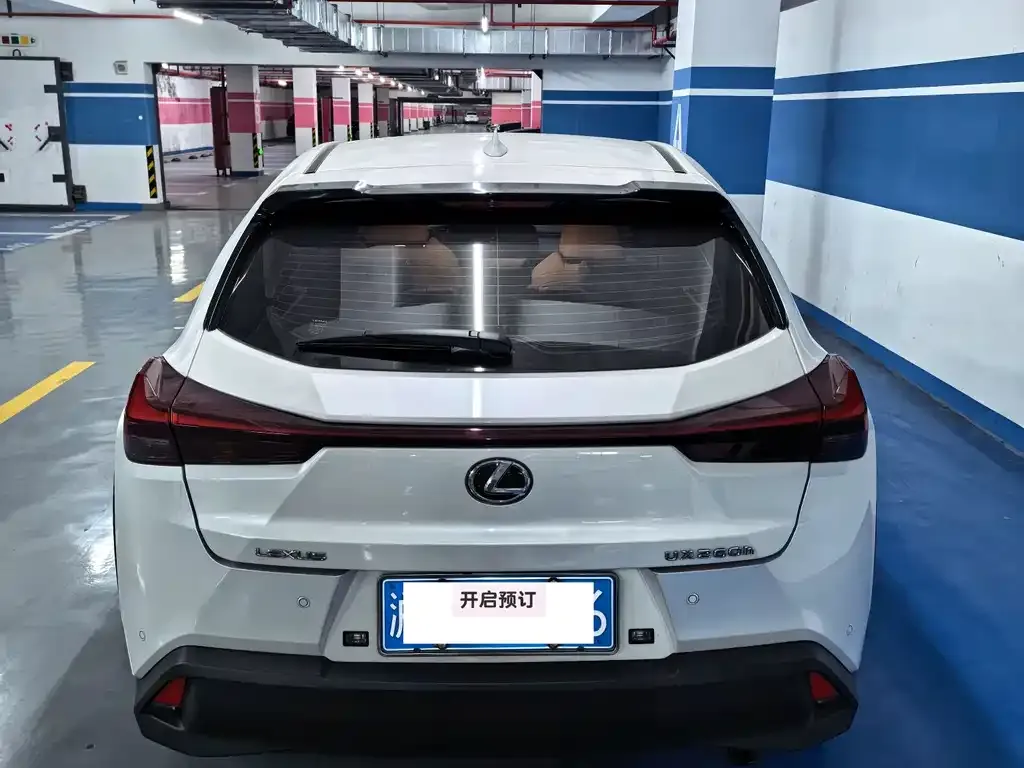 Lexus UX 2023 из CN, фото 7