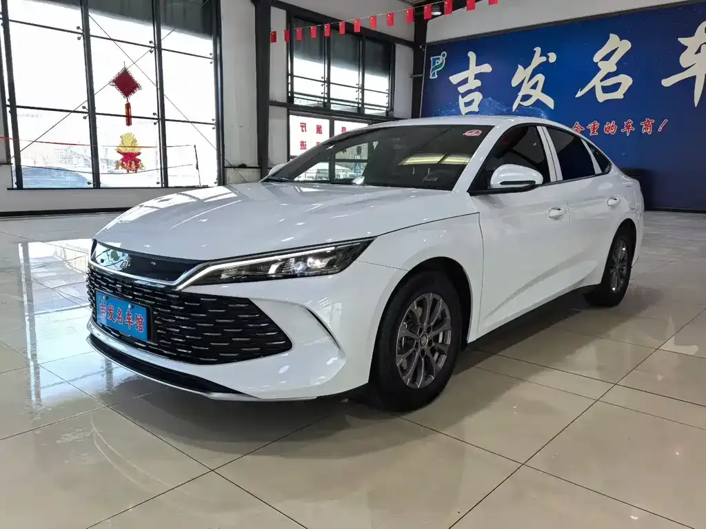 BYD Qin L 2024 из CN, фото 1