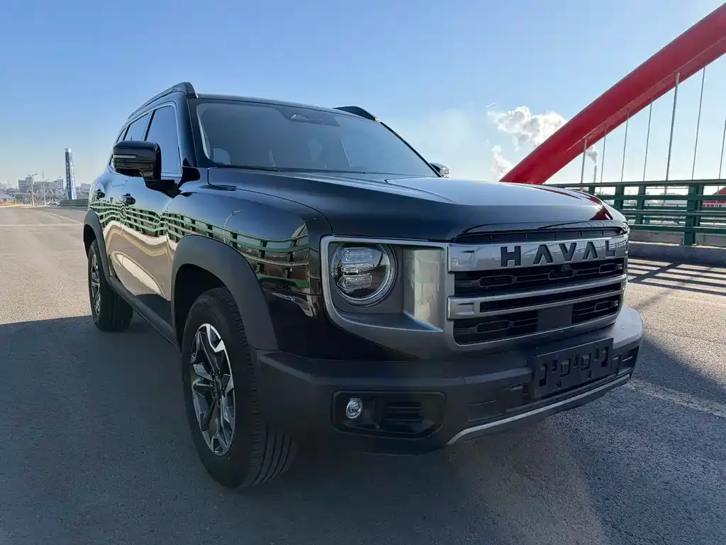 Haval Big Dog 2024 из CN, фото 8