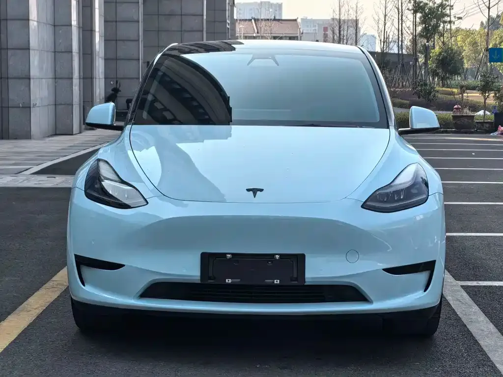 Tesla Model Y 2022 из CN, фото 5