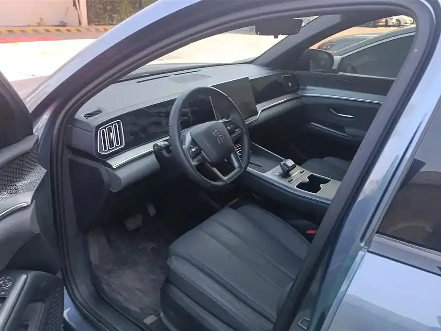 BYD Pro New Energy 2025 из CN, фото 9