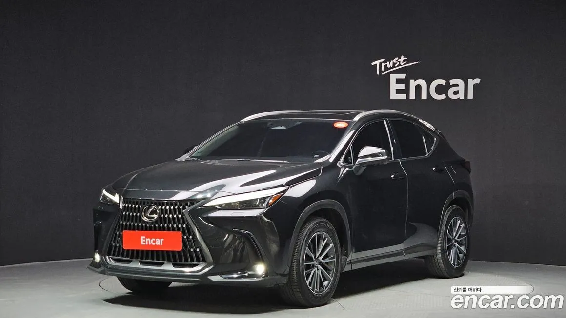 Lexus NX 2024 из KR, фото 1