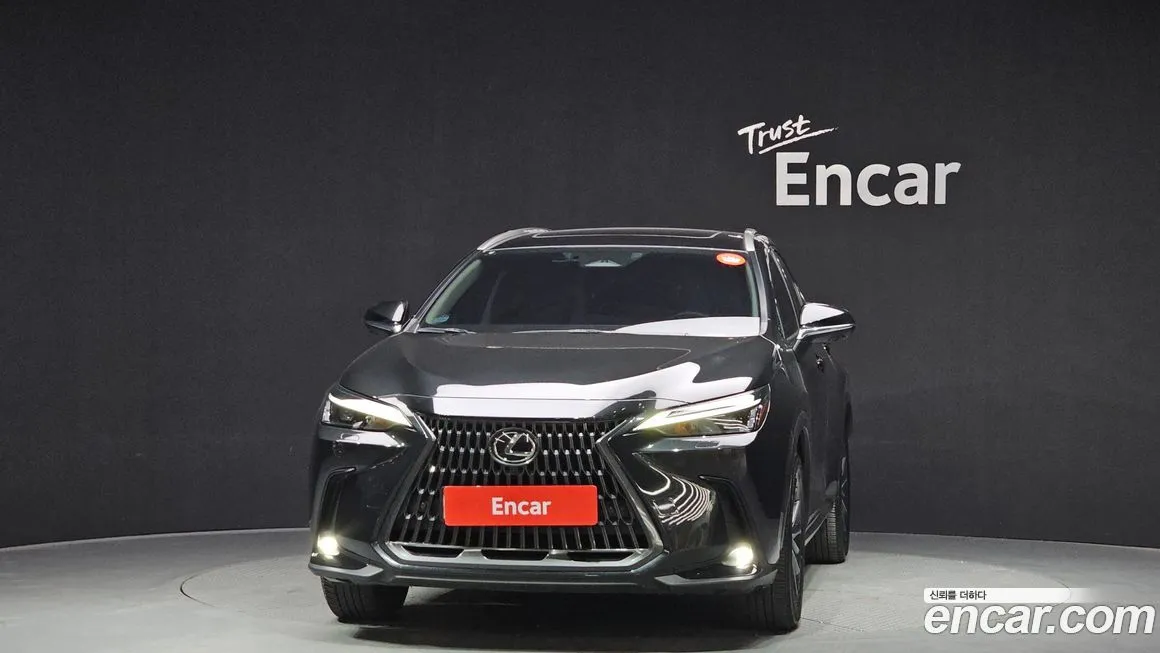 Lexus NX 2024 из KR, фото 5