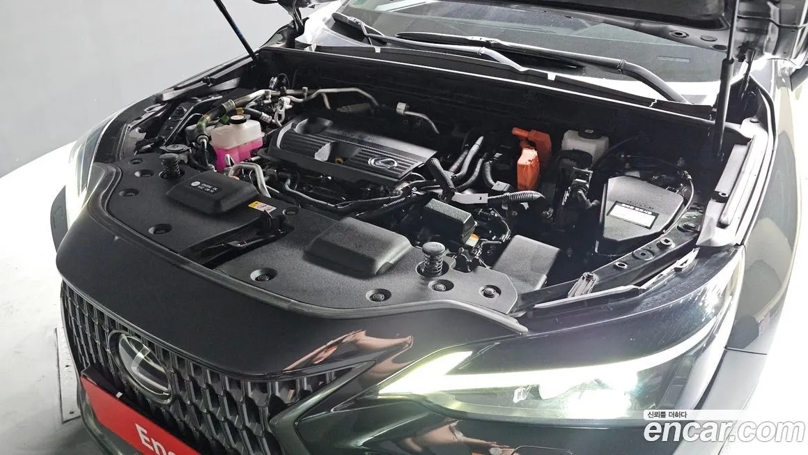 Lexus NX 2024 из KR, фото 6