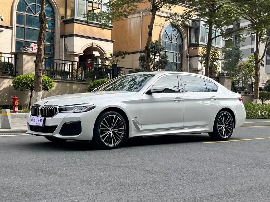 BMW 5 Series 2021 из CN, фото 1