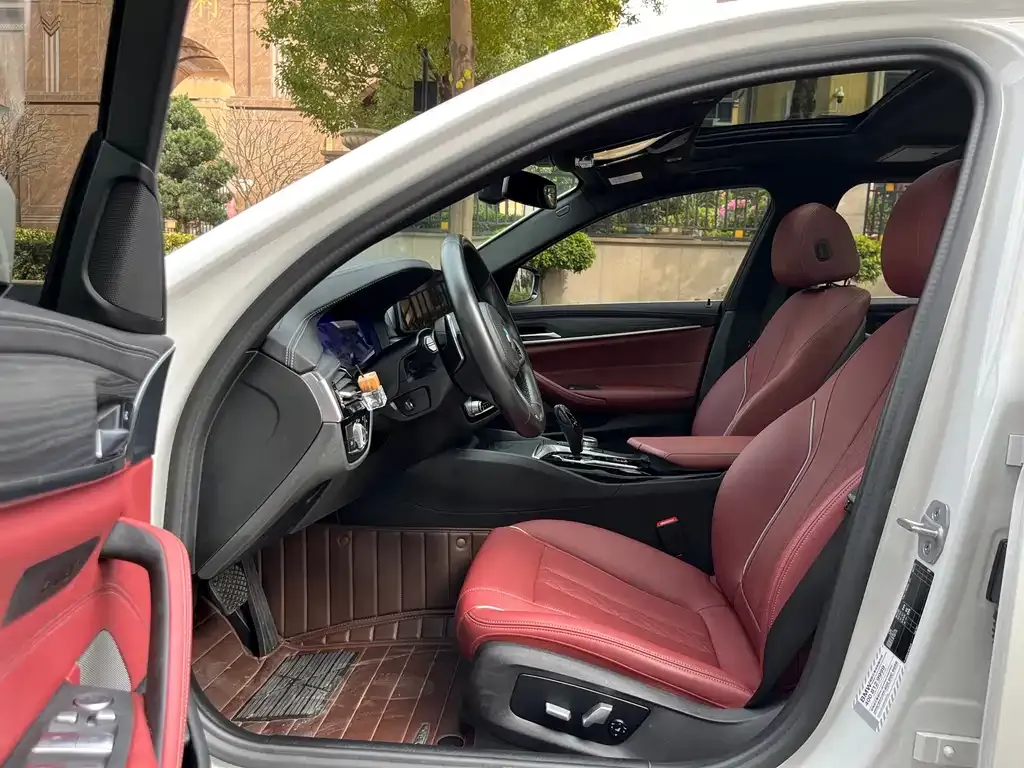 BMW 5 Series 2021 из CN, фото 7
