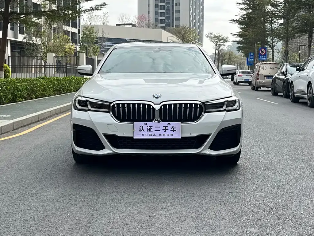 BMW 5 Series 2021 из CN, фото 5