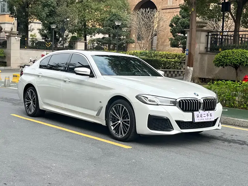 BMW 5 Series 2021 из CN, фото 8