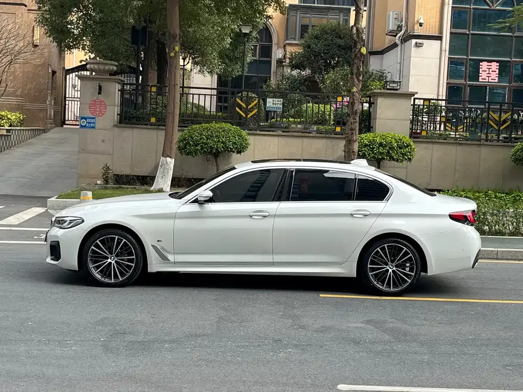 BMW 5 Series 2021 из CN, фото 4
