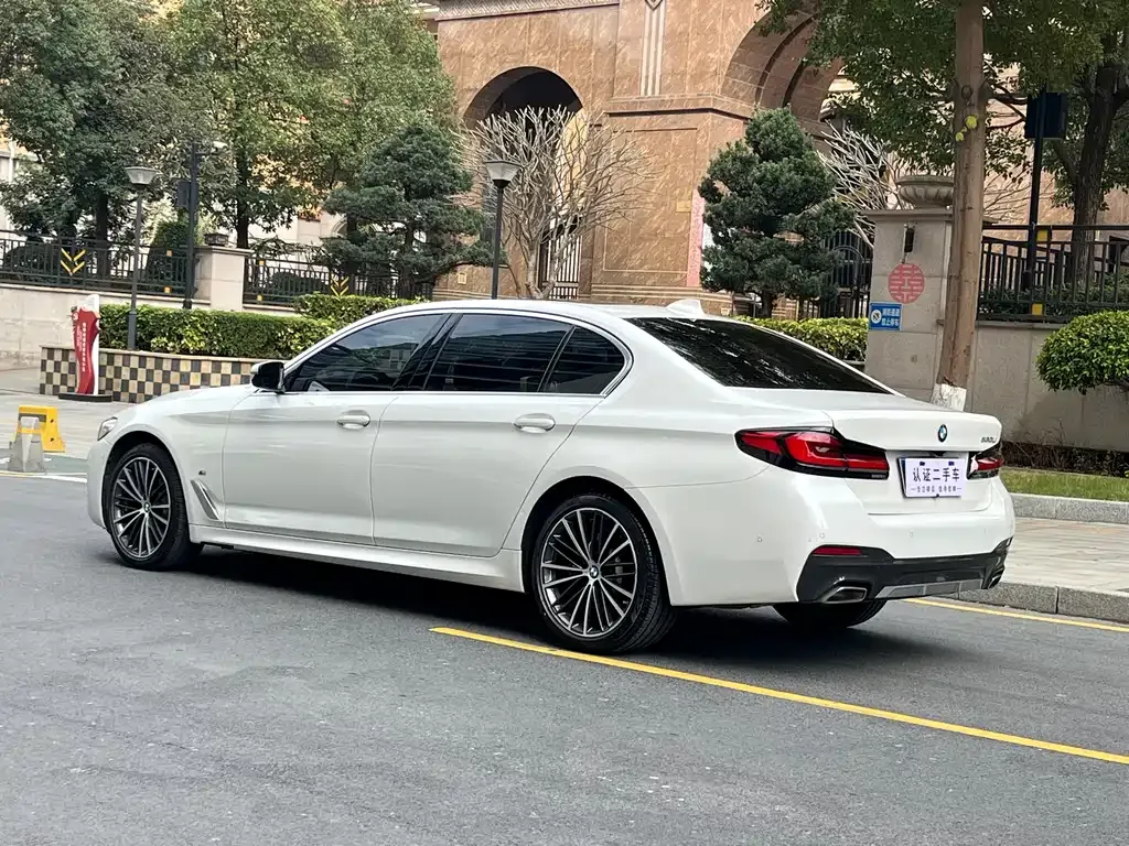 BMW 5 Series 2021 из CN, фото 2