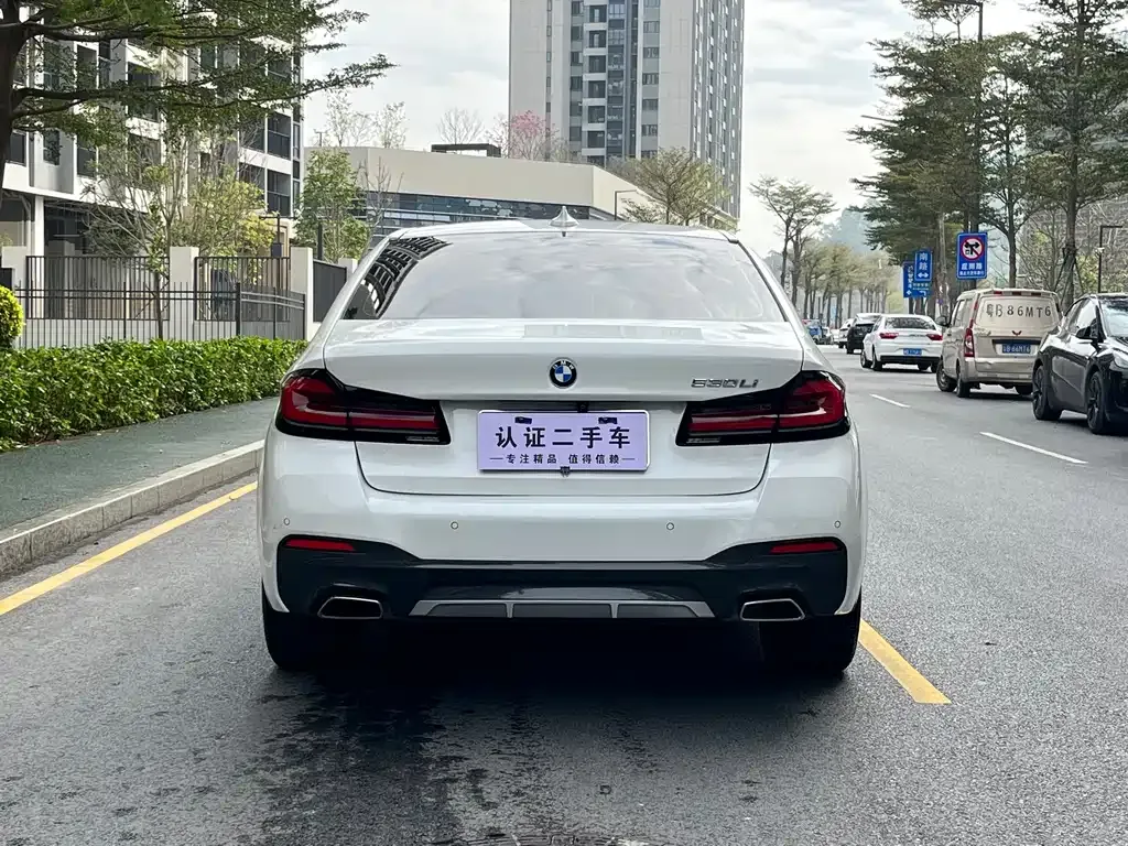 BMW 5 Series 2021 из CN, фото 6