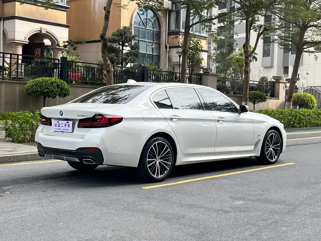 BMW 5 Series 2021 из CN, фото 9