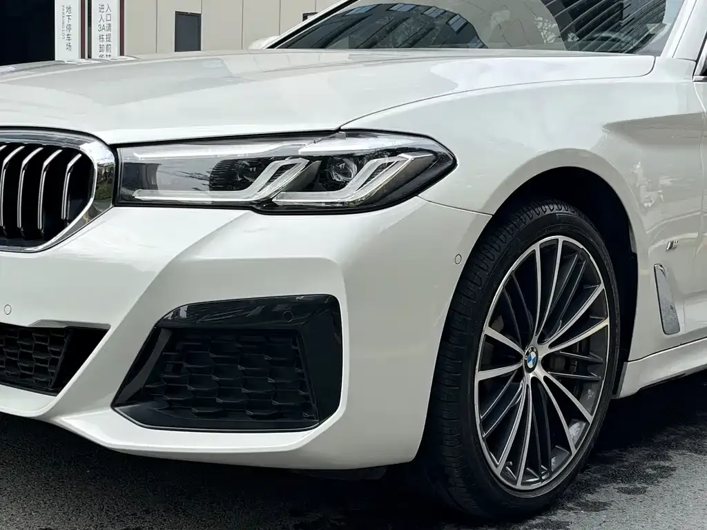 BMW 5 Series 2021 из CN, фото 10