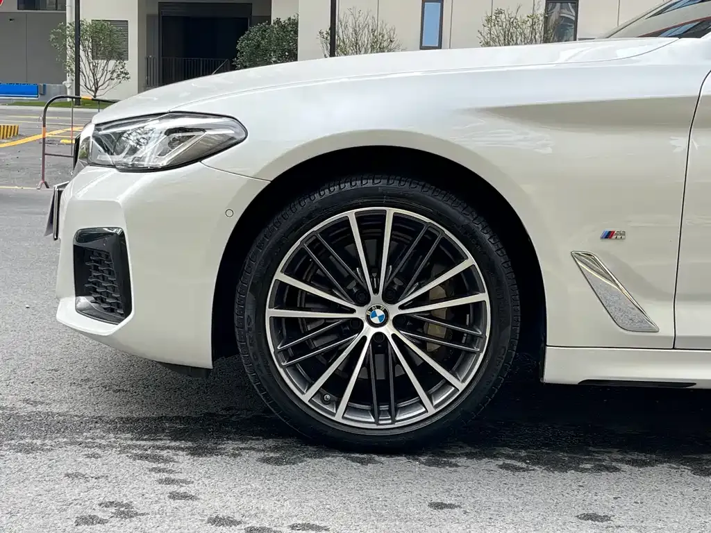 BMW 5 Series 2021 из CN, фото 3