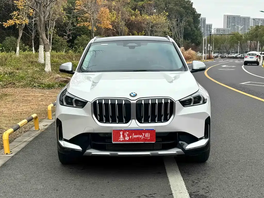 BMW X1 2023 из CN, фото 6