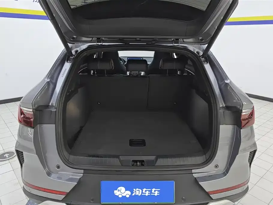 BYD PLUS New Energy — фото 6