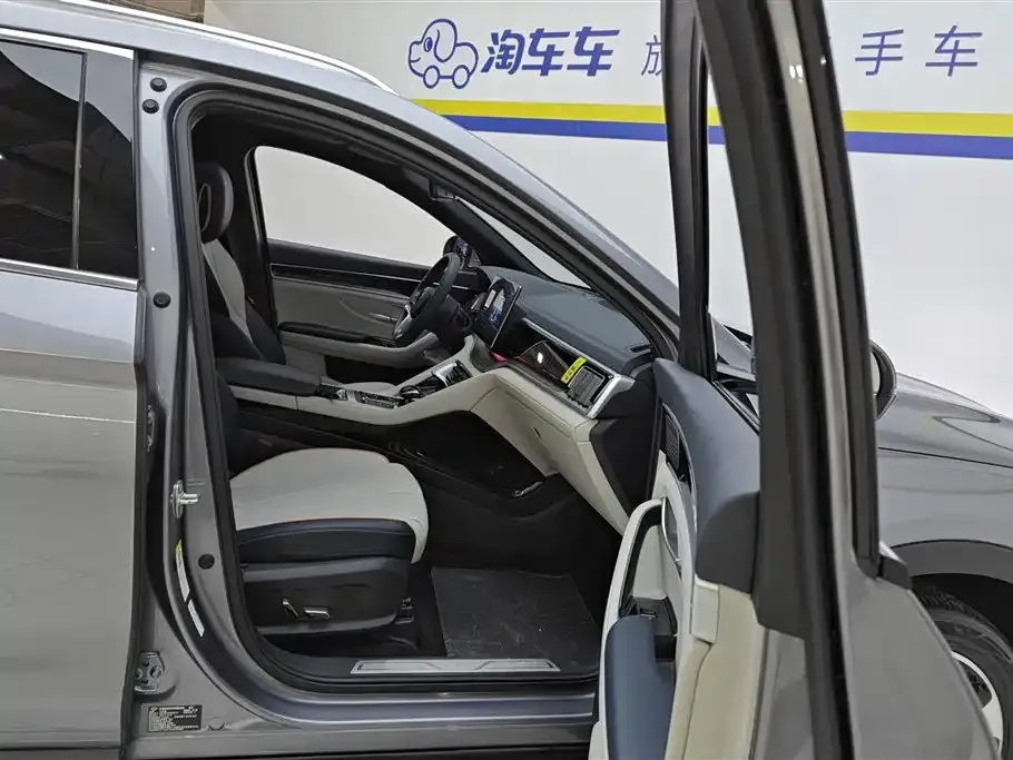 BYD PLUS New Energy — фото 8