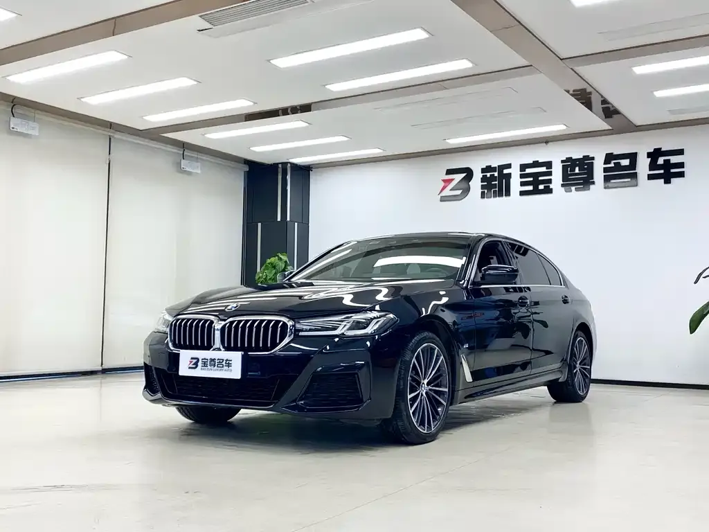 BMW 5 Series 2022 из CN, фото 1