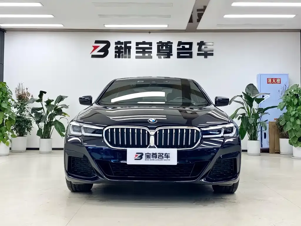 BMW 5 Series 2022 из CN, фото 2