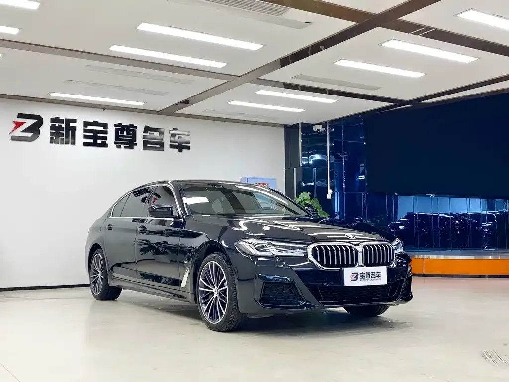 BMW 5 Series 2022 из CN, фото 3