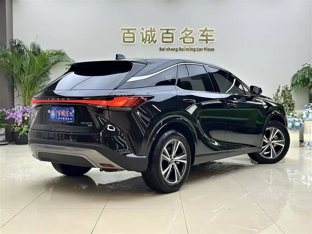 Lexus RX 2025 из CN, фото 2