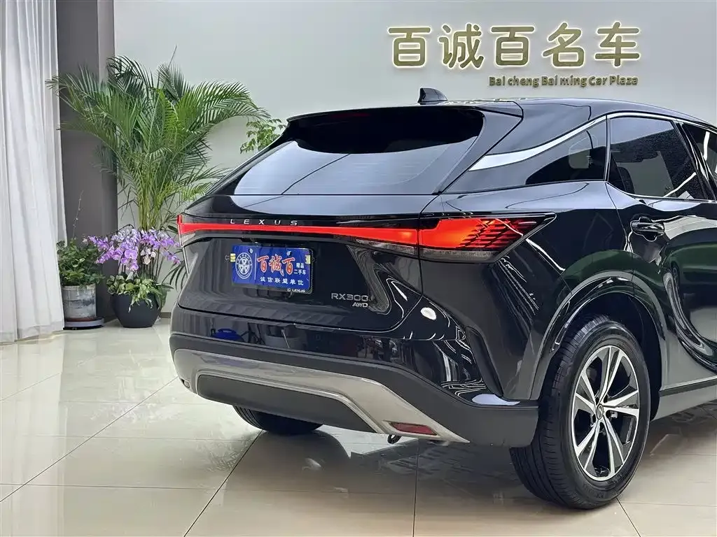 Lexus RX 2025 из CN, фото 9