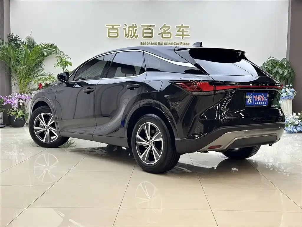 Lexus RX 2025 из CN, фото 10