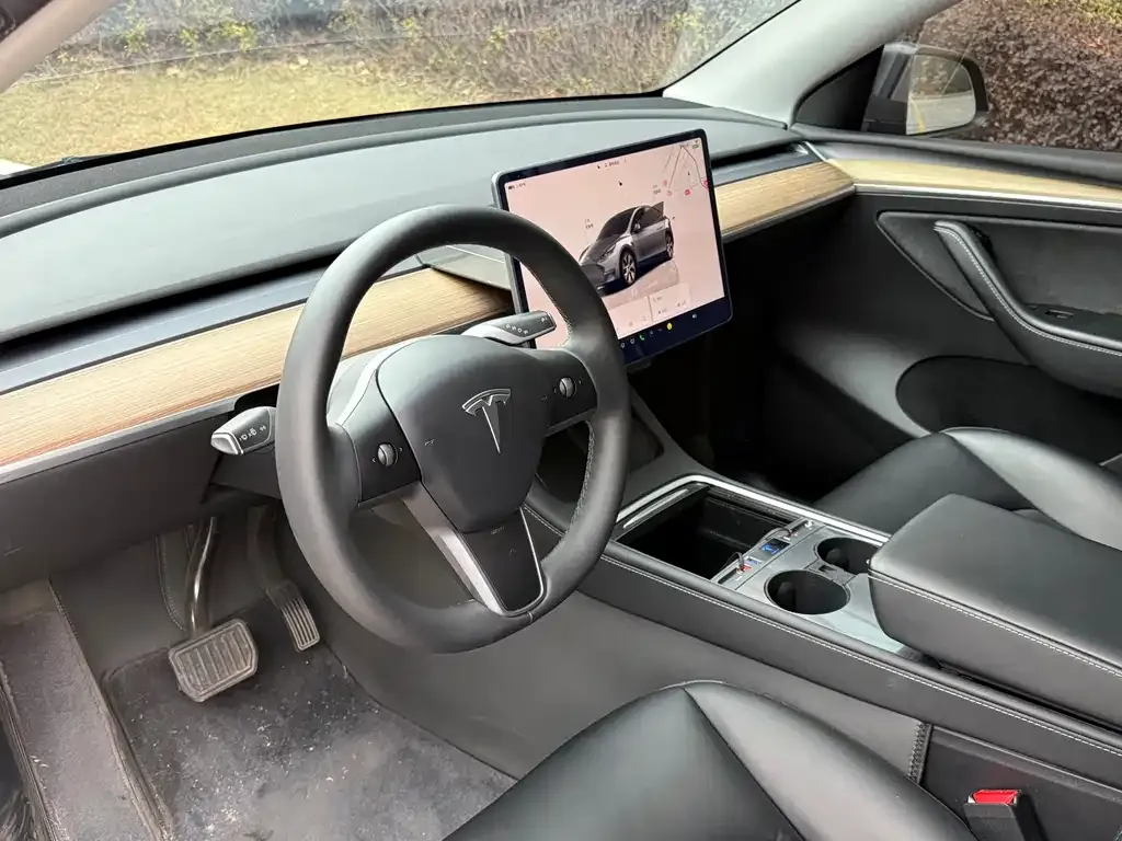Tesla Model Y — фото 6