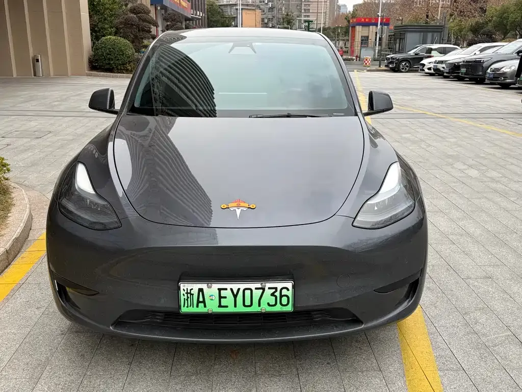 Tesla Model Y — фото 8
