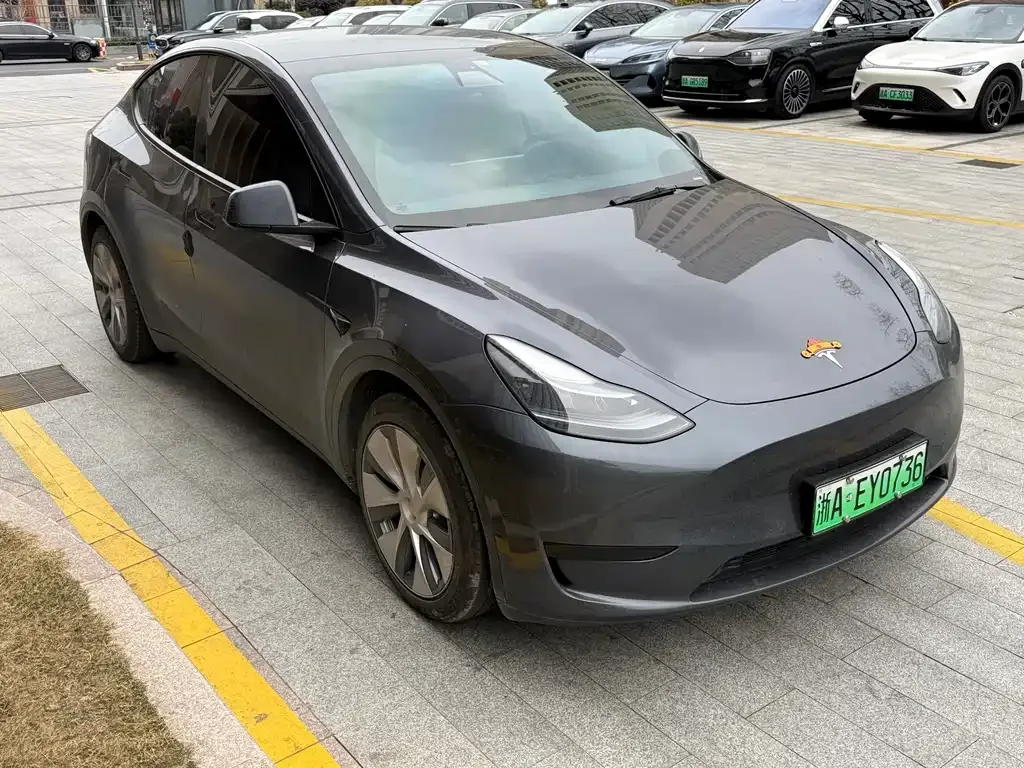 Tesla Model Y — фото 10