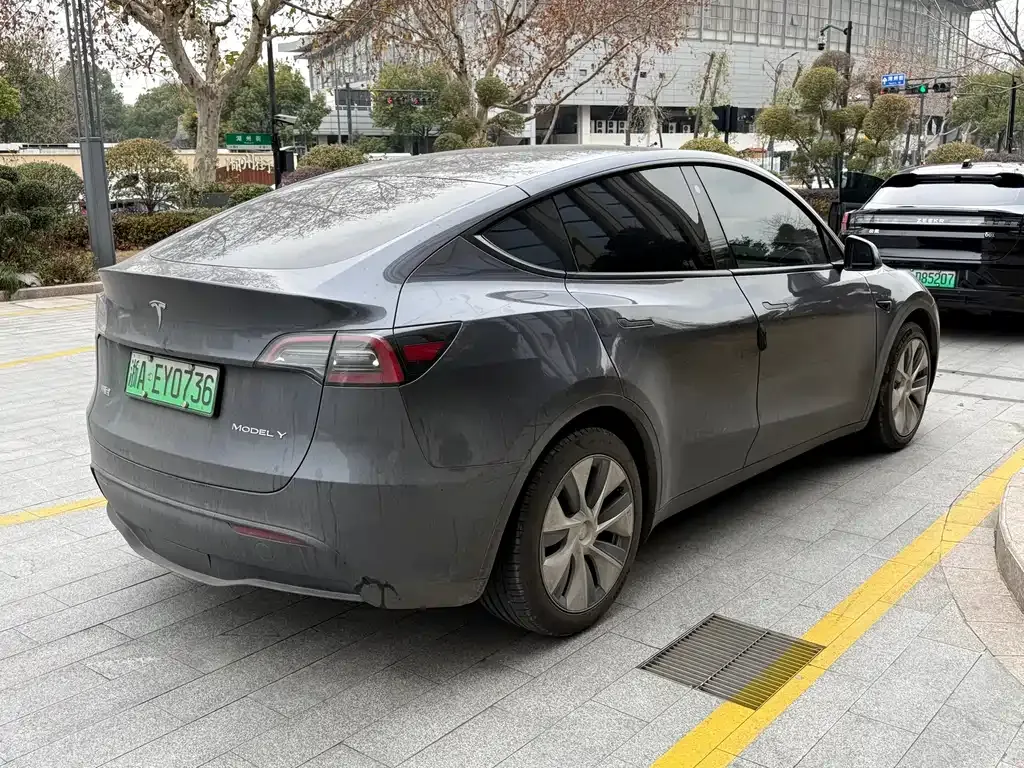 Tesla Model Y — фото 3