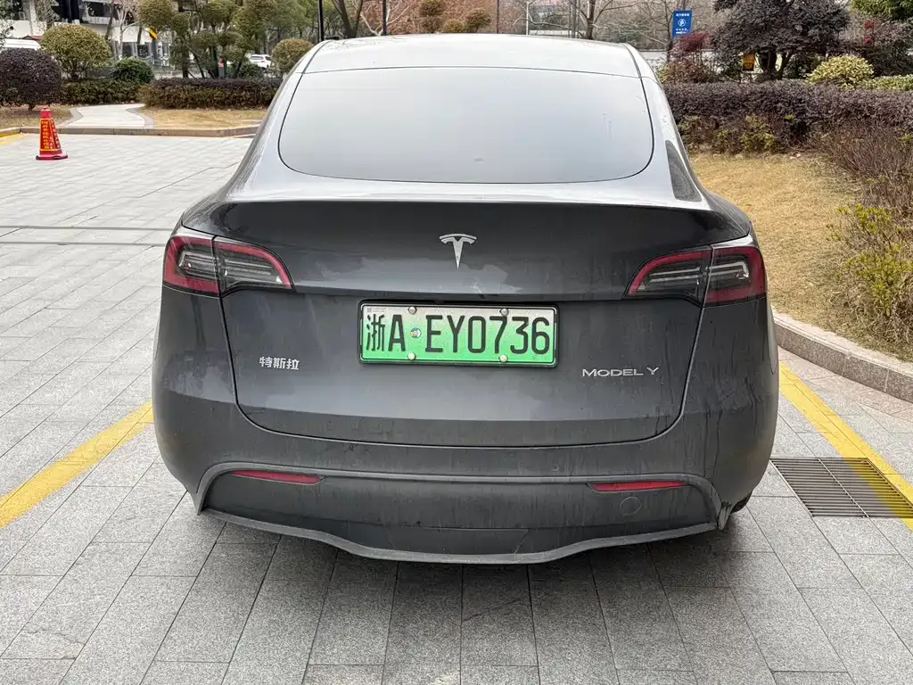 Tesla Model Y — фото 9