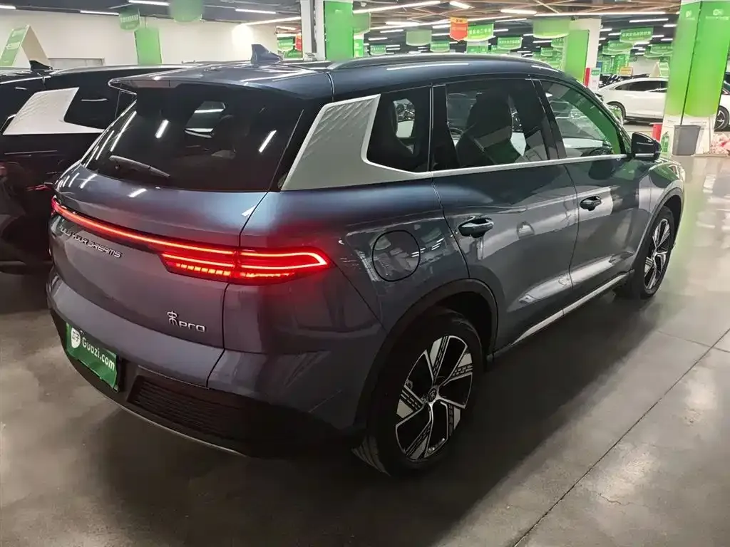 BYD Pro New Energy — фото 10
